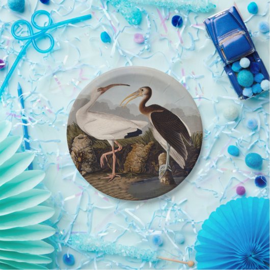 John James Audubon White Ibis Bird Print Classic Papieren Bordje (Feest)