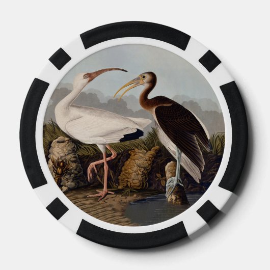 John James Audubon White Ibis Bird Print Classic Poker Chips (Achterkant)