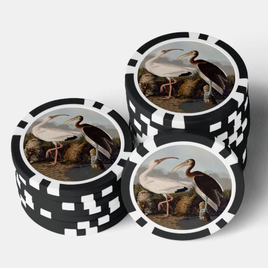 John James Audubon White Ibis Bird Print Classic Poker Chips (Opstapeling)