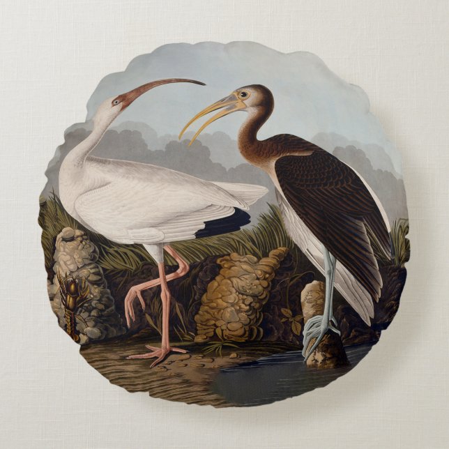 John James Audubon White Ibis Bird Print Classic Rond Kussen (Voorkant)