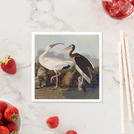 John James Audubon White Ibis Bird Print Classic Servet (Insitu)