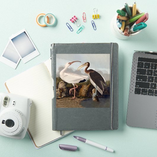 John James Audubon White Ibis Bird Print Classic Sticker (iPad Cover)