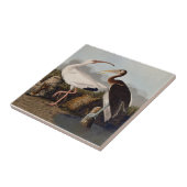 John James Audubon White Ibis Bird Print Classic Tegeltje (Zijkant)