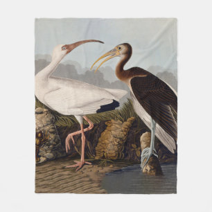 John James Audubon White Ibis Vogelprint Klassiek Fleece Deken
