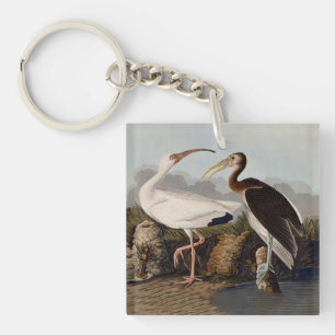 John James Audubon White Ibis Vogelprint Klassiek Sleutelhanger
