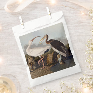 John James Audubon Witte Ibis Vogelprint Klassieke Bedankzakje