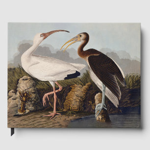 John James Audubon Witte Ibis Vogelprint Klassieke Gastenboek