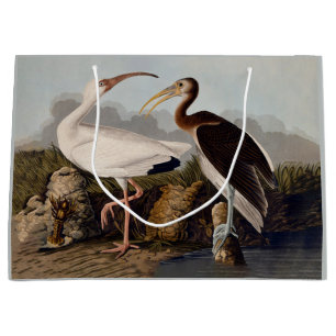 John James Audubon Witte Ibis Vogelprint Klassieke Groot Cadeauzakje