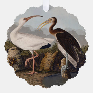 John James Audubon Witte Ibis Vogelprint Klassieke Ornament Kaart
