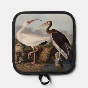John James Audubon Witte Ibis Vogelprint Klassieke Pannenlap
