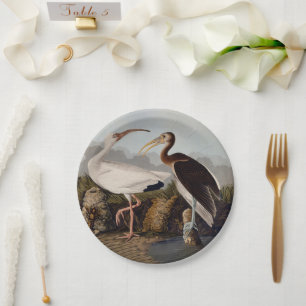 John James Audubon Witte Ibis Vogelprint Klassieke Papieren Bordje