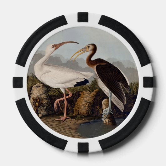 John James Audubon Witte Ibis Vogelprint Klassieke Poker Chips (Voorkant)