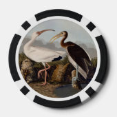 John James Audubon Witte Ibis Vogelprint Klassieke Poker Chips (Achterkant)