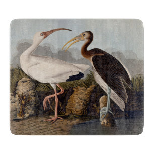 John James Audubon Witte Ibis Vogelprint Klassieke Snijplank