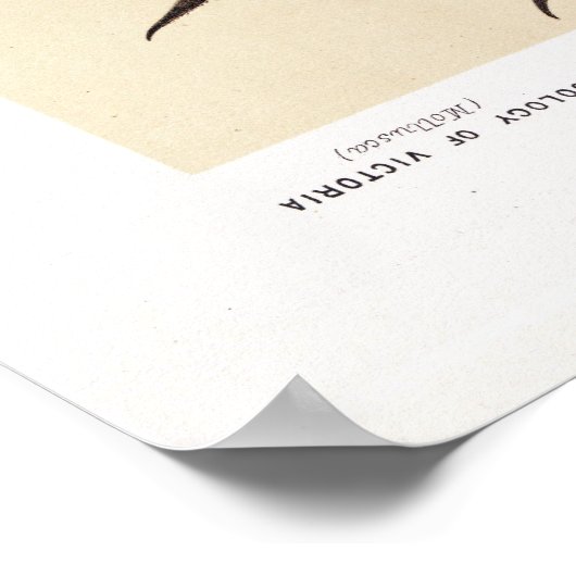 John James Wild Large Melbourne Sepia Poster (Hoek)