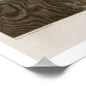 John Jay, gegraveerd door Asher Brown Durand (1796 Poster (Hoek)