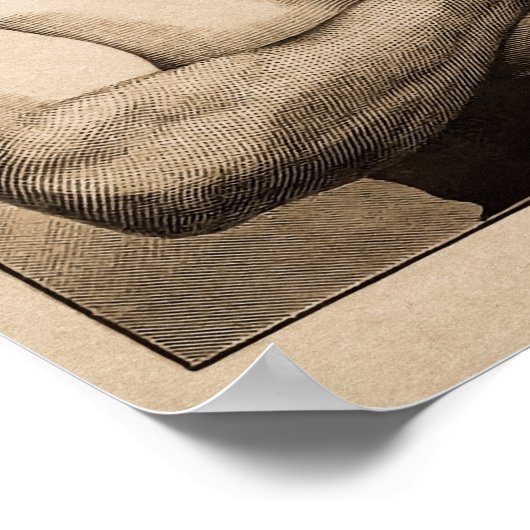  John L. Sullivan Advertisement Poster (Hoek)