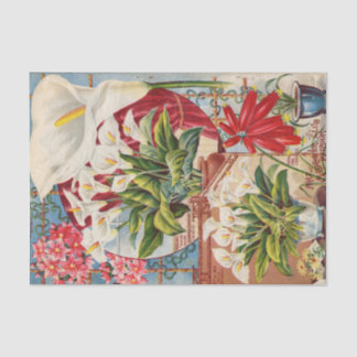 John Lewis Child's Calla Bloembollen Catalogus 189 Tissuepapier