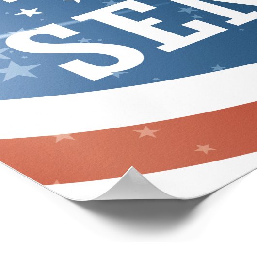 John McCain 2016 Poster (Hoek)