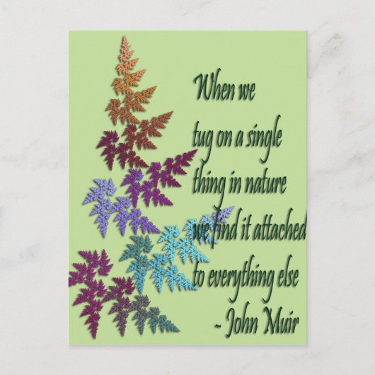 john muir - briefkaart (Voorkant)
