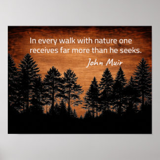 John Muir citaat Poster