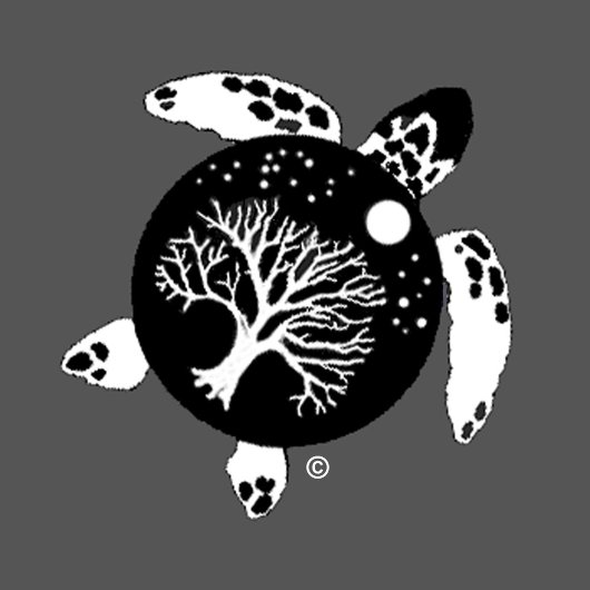 John Muir, Het vinden van goddelijkheid in de Natu Koffiemok