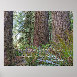 John Muir Natuur Citaat Oerbos Poster