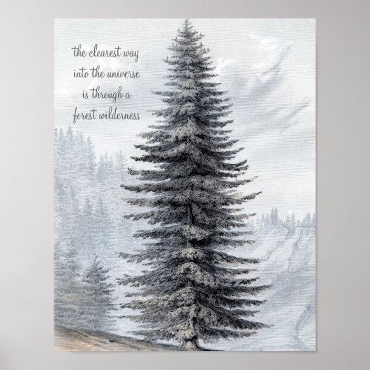 John Muir Quote Forest Wilderness Print (Voorkant)