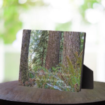 John Muir Quote Giant Conifer Forest