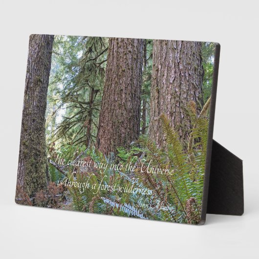 John Muir Quote Giant Conifer Forest Fotoplaat (Zijkant)