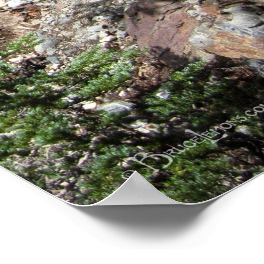 John Muir Trail Hiker - Sierra Nevada Mountains Poster (Hoek)