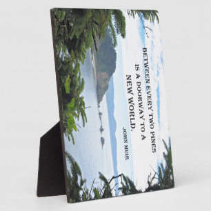 John Muir: "Tussen de twee pijnbomen is een deur" Fotoplaat