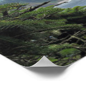 John Muir: "Tussen de twee pijnbomen is een deur" Poster (Hoek)