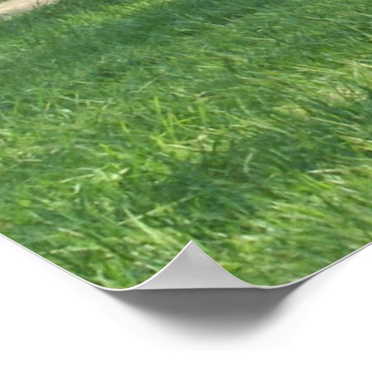 John Oliver Black Beer Cabin Poster (Hoek)