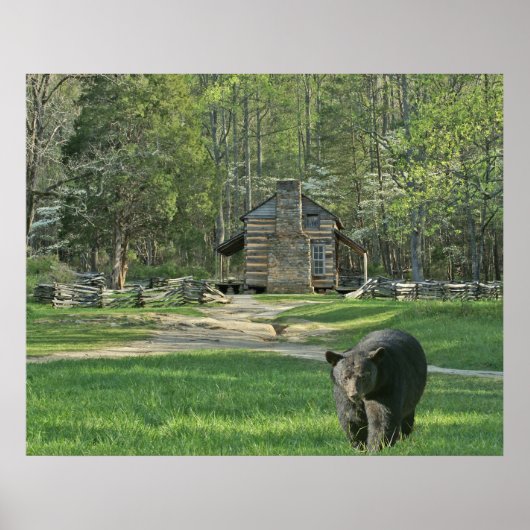 John Oliver Black Beer Cabin Poster (Voorkant)