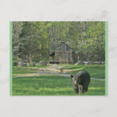 John Oliver Cabin Briefkaart (Voorkant)