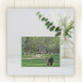 John Oliver Cabin Briefkaart