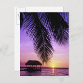 John Pennekamp State Park, Florida Keys, Key Briefkaart (Voorkant / Achterkant)