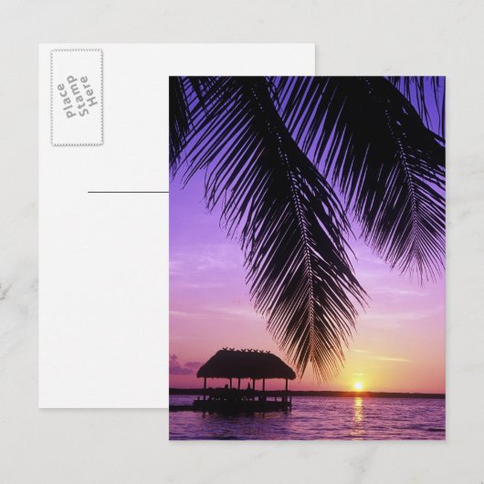 John Pennekamp State Park, Florida Keys, Key Briefkaart (Voorkant / Achterkant)