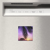 John Pennekamp State Park, Florida Keys, Key Magneet (Insitu (Vaatwasser))