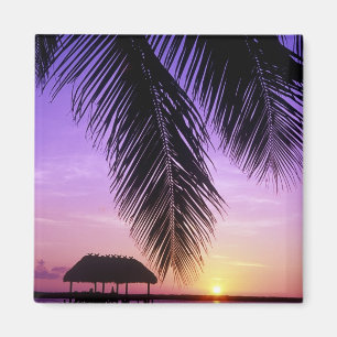 John Pennekamp State Park, Florida Keys, Key Magneet