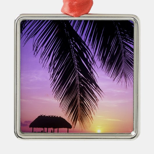 John Pennekamp State Park, Florida Keys, Key Metalen Ornament (Voorkant)
