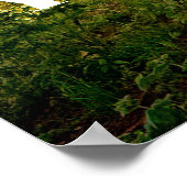 John Quincy Adams. Als je acties anderen inspireer Poster (Hoek)