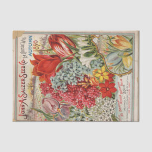 John Salzer Herfst 1895  Zaaigoed Catalogus Tissuepapier