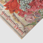 John Salzer Herfst 1895 Zaaigoed Catalogus Tissuepapier (Detail)