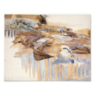 John Singer Sargent - Alligators Foto Afdruk