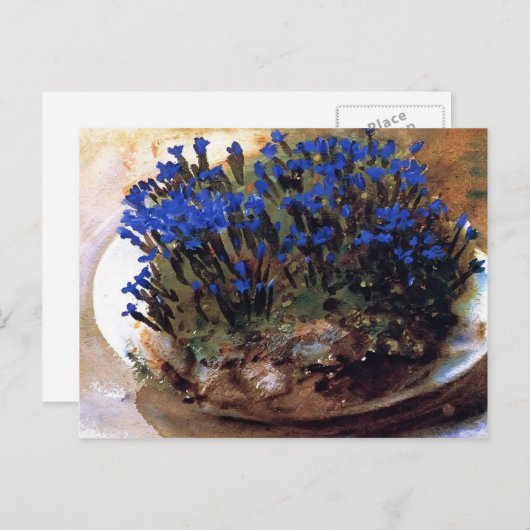 John Singer Sargent-Blue Gentians Briefkaart (Voorkant / Achterkant)