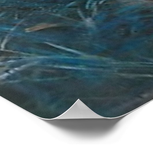 John Singer Sargent CarnLily Poster (Hoek)