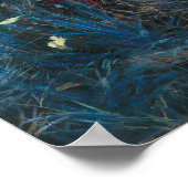 John Singer Sargent CarnLily Roos Poster (Hoek)