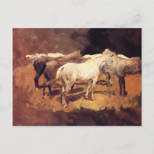 John Singer Sargent- Horses in Palma Briefkaart (Voorkant)